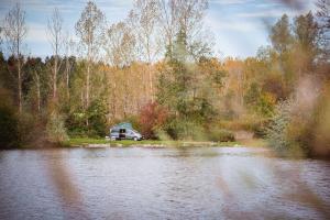 Mercedes-Benz Marco Polo ArtVenture Special Edition 2019 года