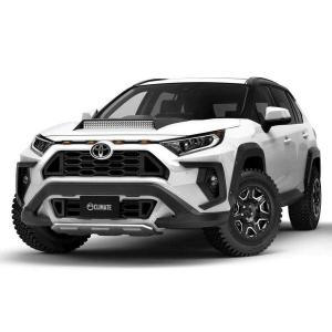 Toyota RAV4 by Climate