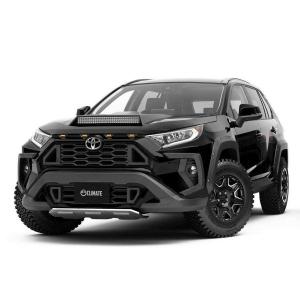 Toyota RAV4 by Climate