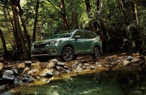 Subaru Forester X-Edition 2019 года