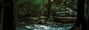 Subaru Forester X-Edition 2019 года