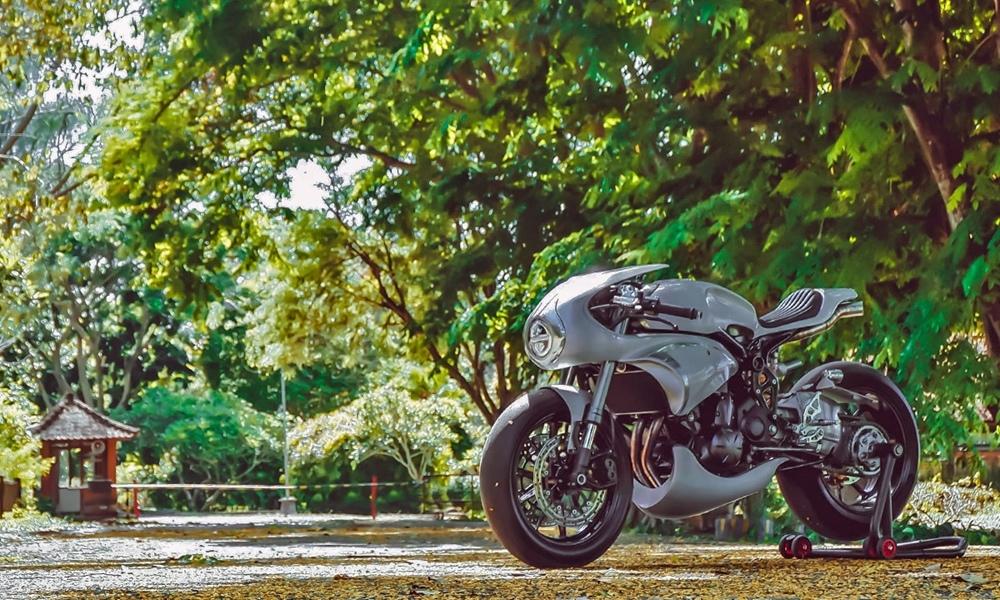Кастомный Kawasaki ER-6n в образе питбуля