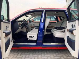 Rolls-Royce Phantom Art Cat by Bradley Theodore by Abu Dhabi Motors 2019 года