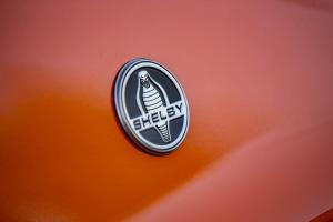 Shelby Super Snake Bold Edition 2019 года