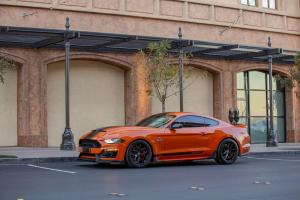 Shelby Super Snake Bold Edition 2019 года
