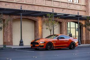 Shelby Super Snake Bold Edition 2019 года