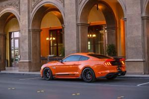Shelby Super Snake Bold Edition 2019 года
