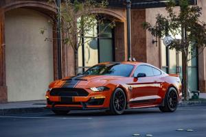 Shelby Super Snake Bold Edition 2019 года