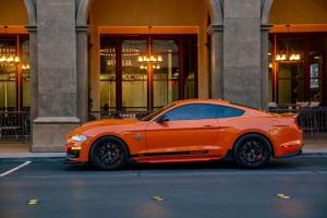 Shelby Super Snake Bold Edition 2019 года