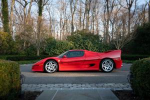 Ferrari F50 Berlinetta Prototipo 1995 года