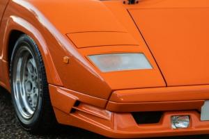 Lamborghini Countach 25th Anniversary 1990 года