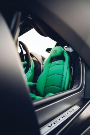 Lamborghini Veneno Roadster 2015 года