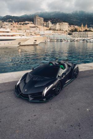 Lamborghini Veneno Roadster 2015 года