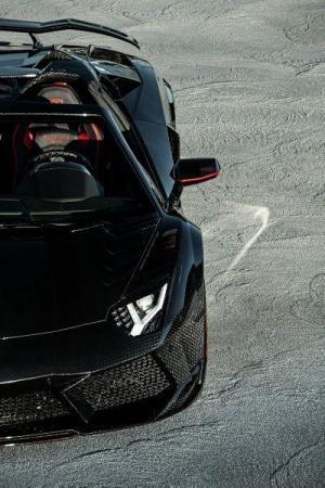 Lamborghini Aventador Carbonado Apertos by Mansory 2018 года