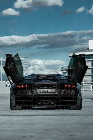 Lamborghini Aventador Carbonado Apertos by Mansory 2018 года