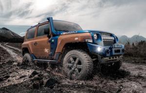 Troller TX4 2020 года