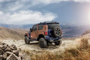 Troller TX4 2020 года