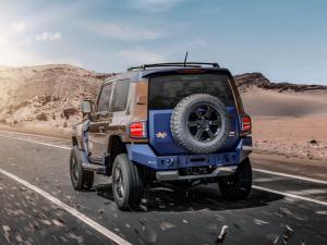 Troller TX4 2020 года