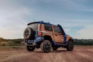 Troller TX4 2020 года