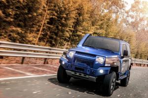 Troller TX4 2020 года