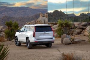 Cadillac Escalade Platinum Sport 2020 года