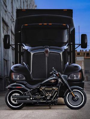Harley-Davidson Fat Boy 30th Anniversary 2020 года