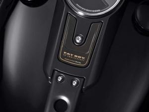 Harley-Davidson Fat Boy 30th Anniversary 2020 года
