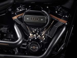 Harley-Davidson Fat Boy 30th Anniversary 2020 года
