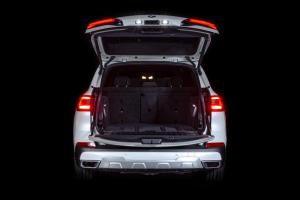 BMW X5 xDrive30d Timeless Edition 2020 года