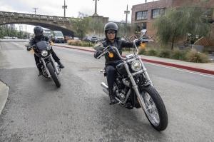 Harley-Davidson Softail Standard 2020 года