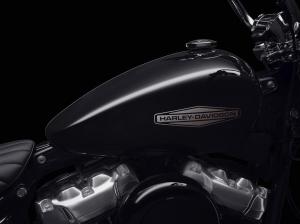 Harley-Davidson Softail Standard 2020 года