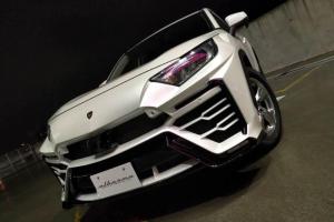 Toyota RAV4 XR51 by Albermo 2020 года