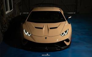 Lamborghini Huracan Performante ставит на тему пустыни