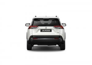 Suzuki Across 2020 года