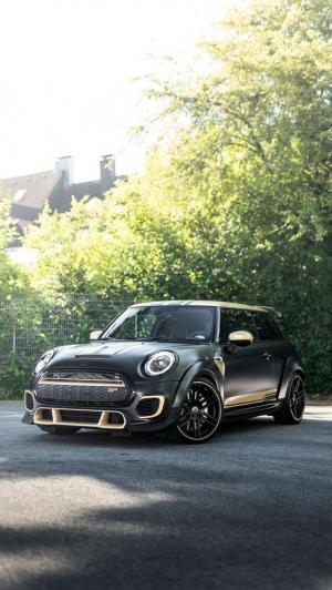 Mini John Cooper Works GP3 F350 by Manhart Racing 2020 года