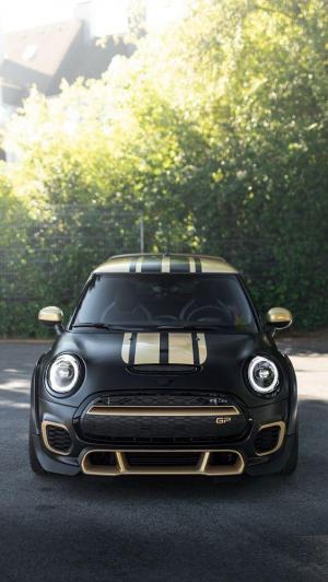 Mini John Cooper Works GP3 F350 by Manhart Racing 2020 года