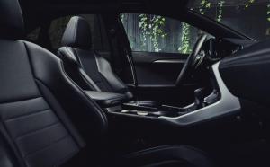 Lexus NX300 F-Sport Black Line 2020 года