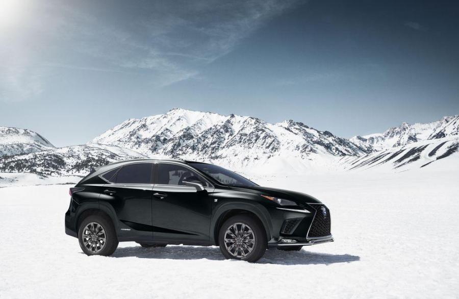 В модном черном тренде предстал Lexus NX300h