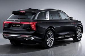 HongQi E-HS9 2020 года
