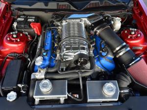 Shelby GT500 Super Snake