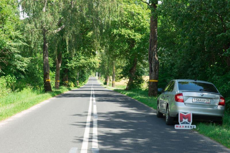 придорожная аллея