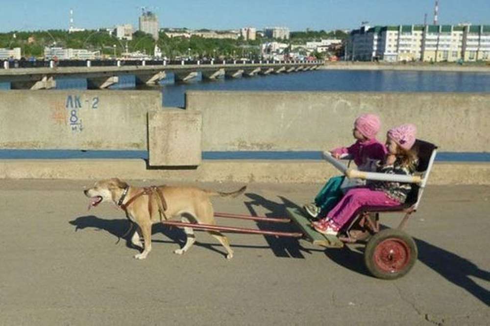 Можно такое фото. Юмор только в России. Только в России приколы. Смешные картинки только Россия. Россияне смешные картинки.