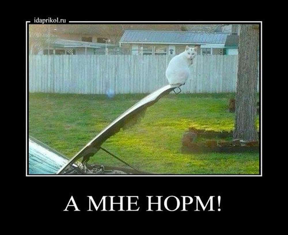 Автомобильные демотиваторы (часть 156)
