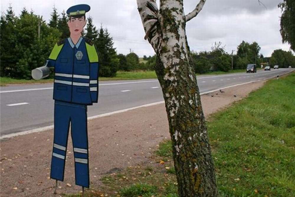 Картонный полицейский. Картонные полицейские на дорогах. Картонные полицейские на дорогах. Полицейский. Картонный полицейский.