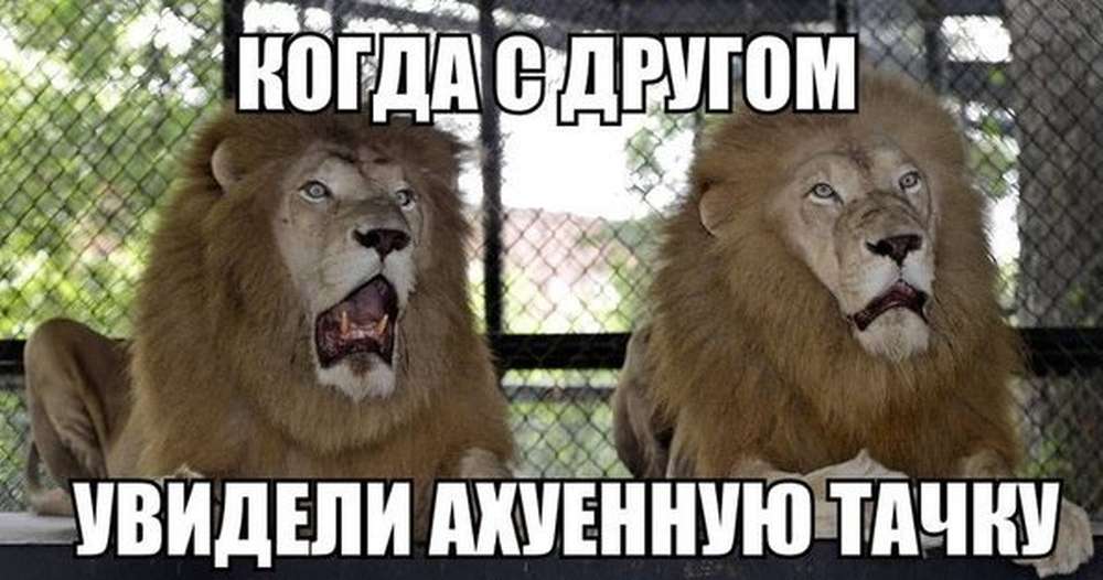Автомобильные демотиваторы (часть 181)