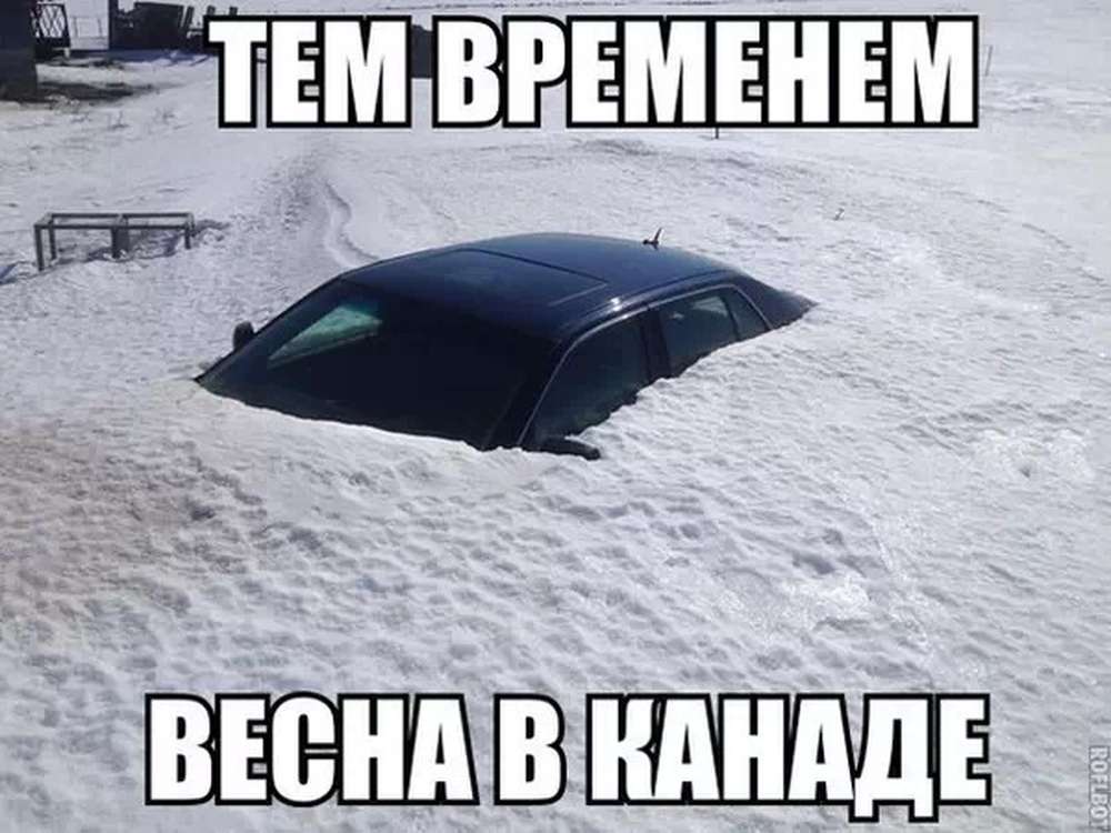 Автомобильные демотиваторы (часть 200)