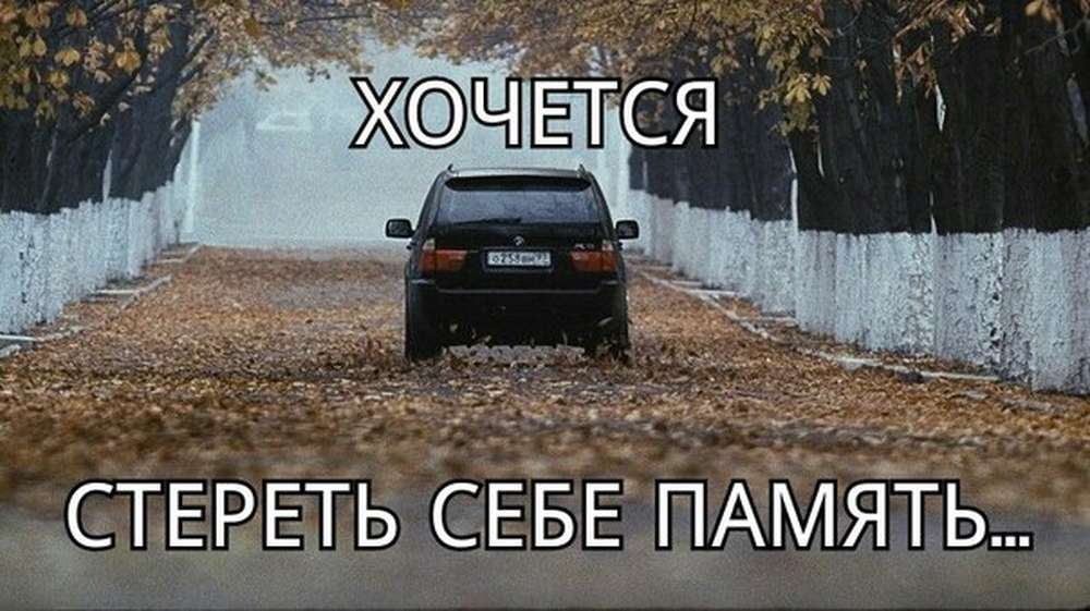 Автомобильные демотиваторы (часть 219)