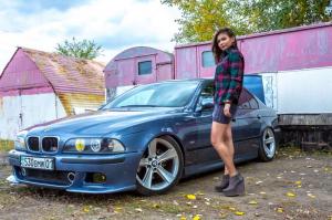 В холодных оттенках осени