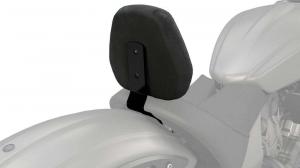 Аксессуары для Victory Octane