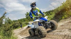 2017 Yamaha YFZ50